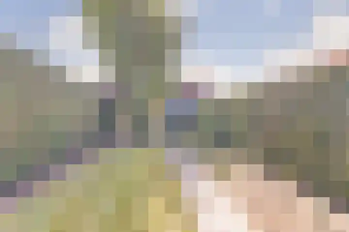 Zandweg 14 Kruiningen thumbnail 30