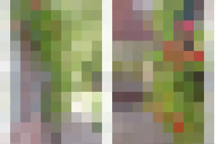Zandweg 14 Kruiningen thumbnail 31