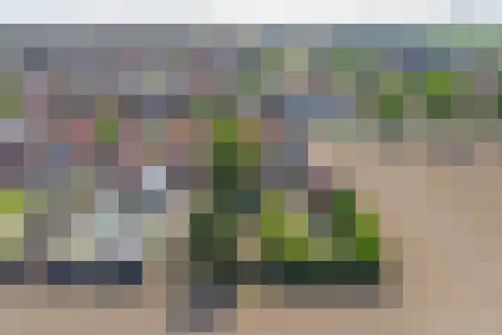 Zandweg 14 Kruiningen thumbnail 32