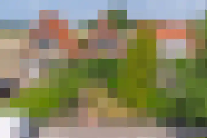 Zandweg 14 Kruiningen thumbnail 44