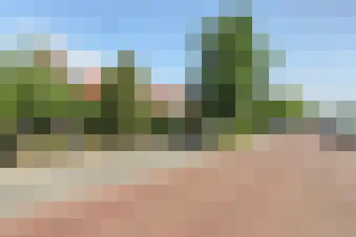 Zandweg 14 Kruiningen thumbnail 5