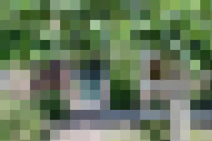 Zandweg 14 Kruiningen thumbnail 6