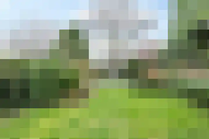 Zandweg 141 Heerlen thumbnail 31