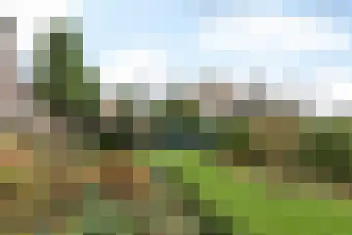 Zandweg 141 Heerlen thumbnail 32