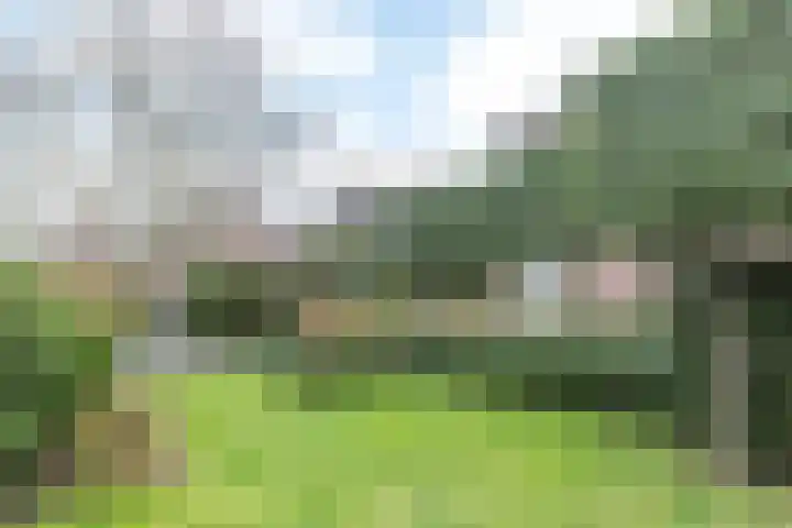 Zandweg 141 Heerlen thumbnail 33