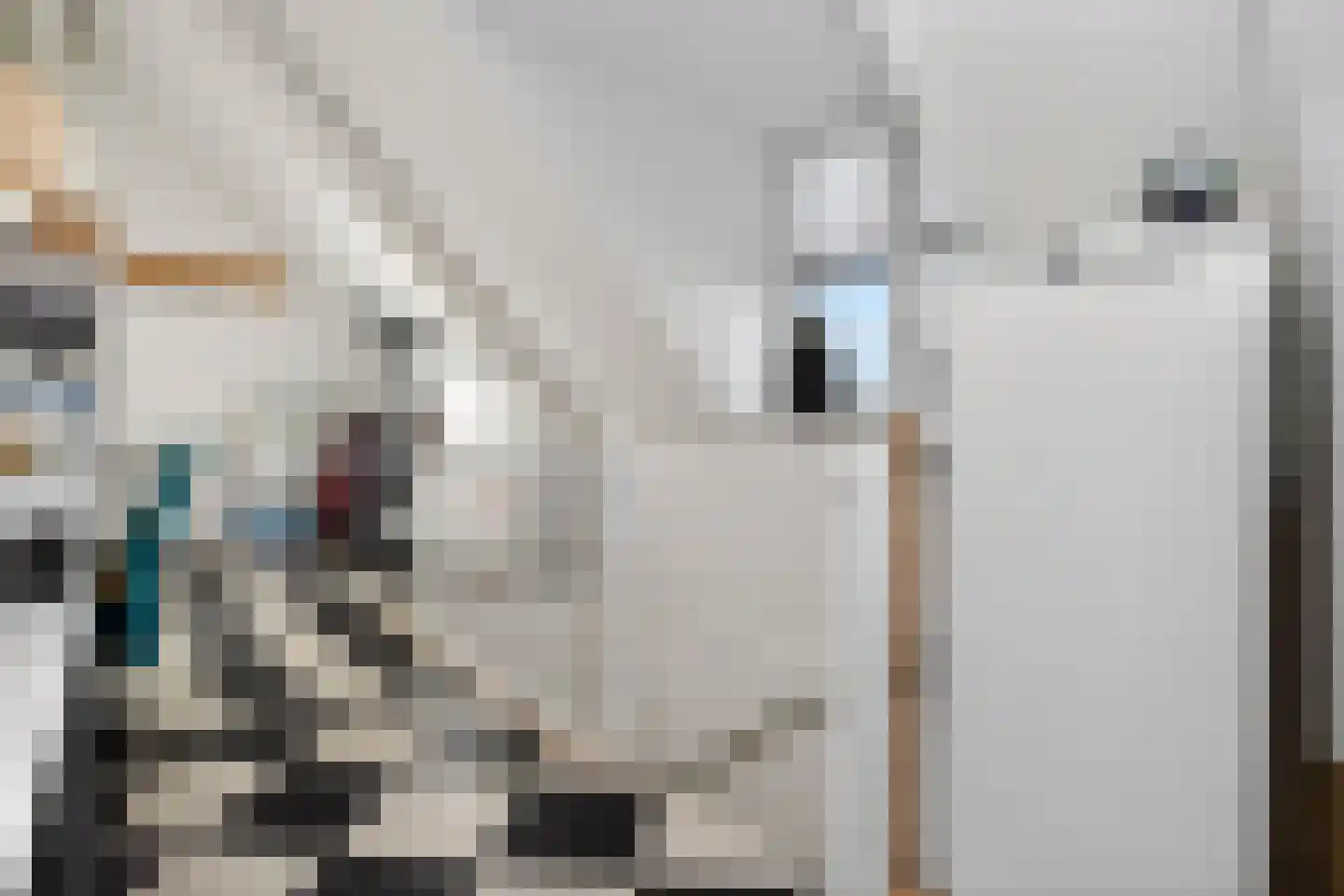 Zandweg 15 d Wijk bij Duurstede thumbnail 38