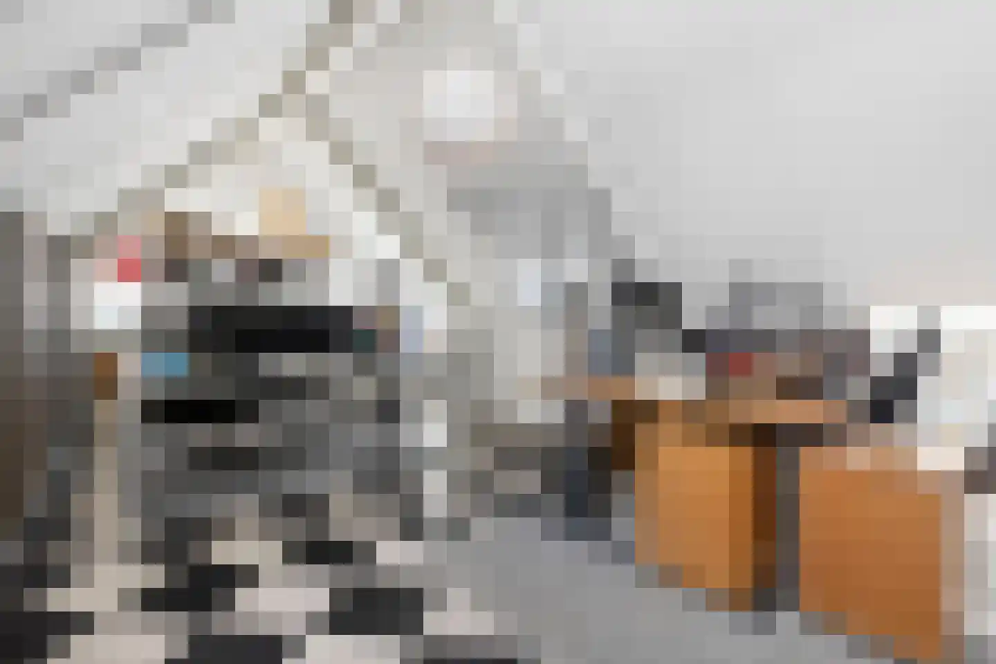 Zandweg 15 d Wijk bij Duurstede thumbnail 39
