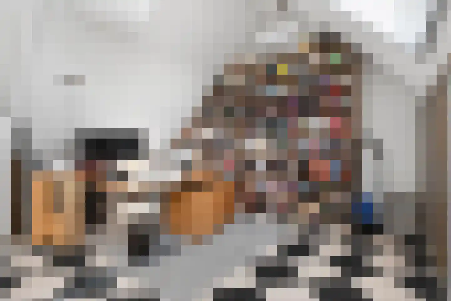 Zandweg 15 d Wijk bij Duurstede thumbnail 40