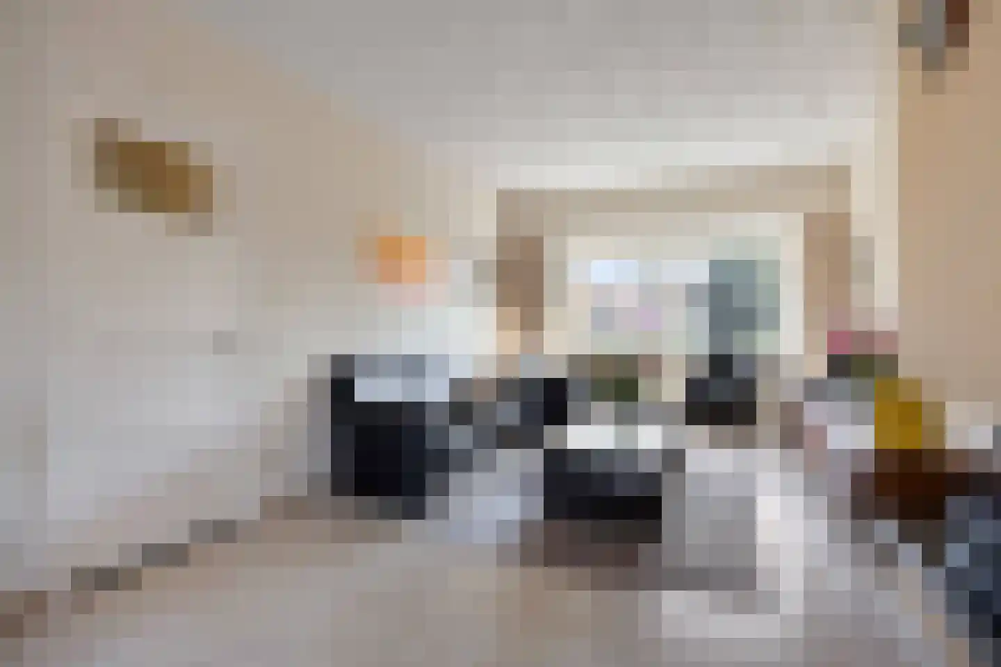 Zandweg 15 Utrecht thumbnail 4