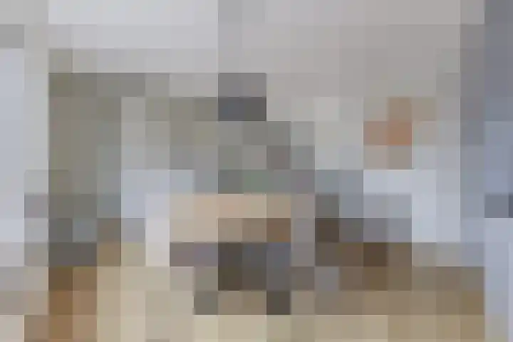 Zandweg 150 Wormer thumbnail 10