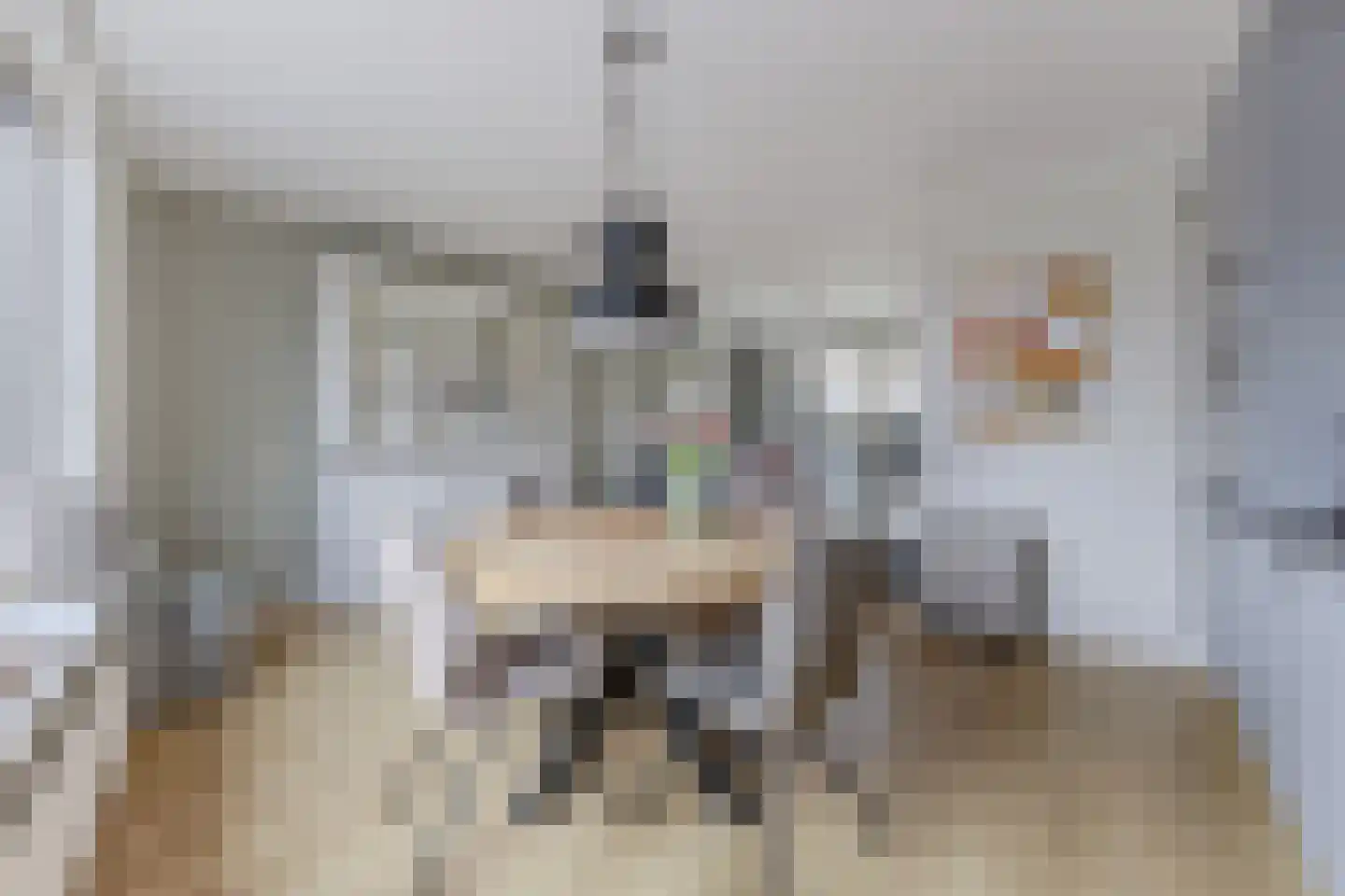 Zandweg 150 Wormer thumbnail 10
