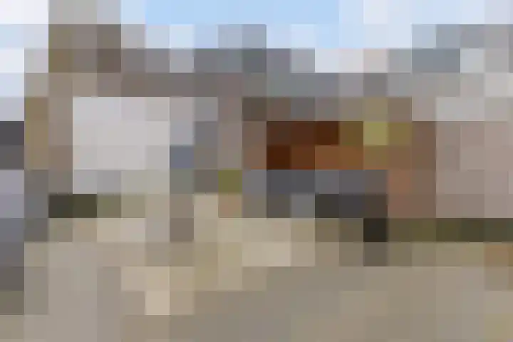 Zandweg 150 Wormer thumbnail 13
