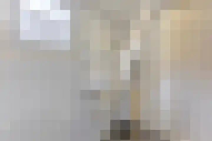 Zandweg 150 Wormer thumbnail 22