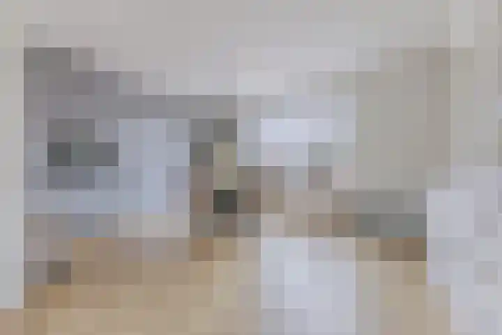 Zandweg 150 Wormer thumbnail 5