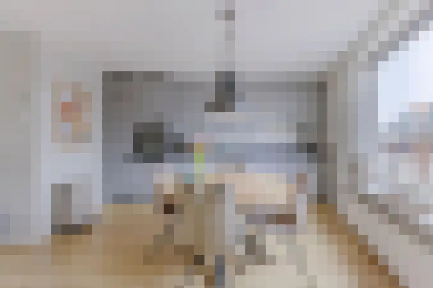 Zandweg 150 Wormer thumbnail 6