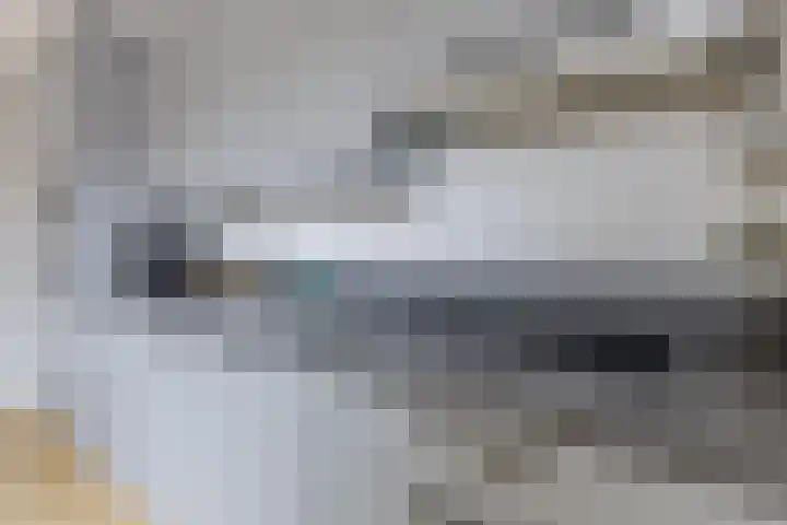 Zandweg 150 Wormer thumbnail 9