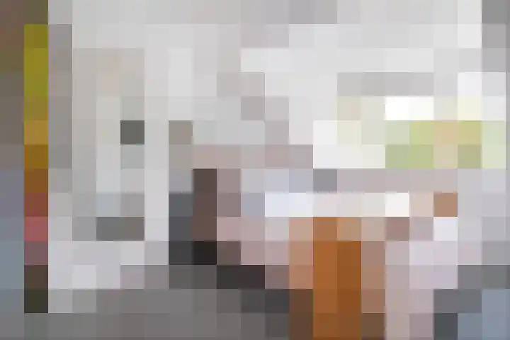 Zandweg 158 De Meern thumbnail 17