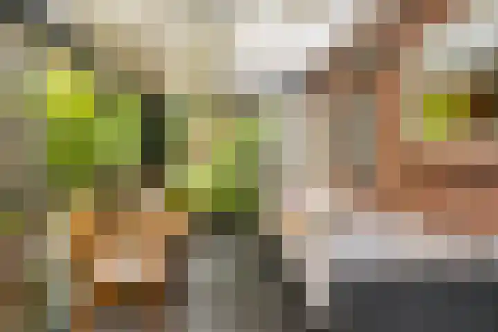 Zandweg 158 De Meern thumbnail 23