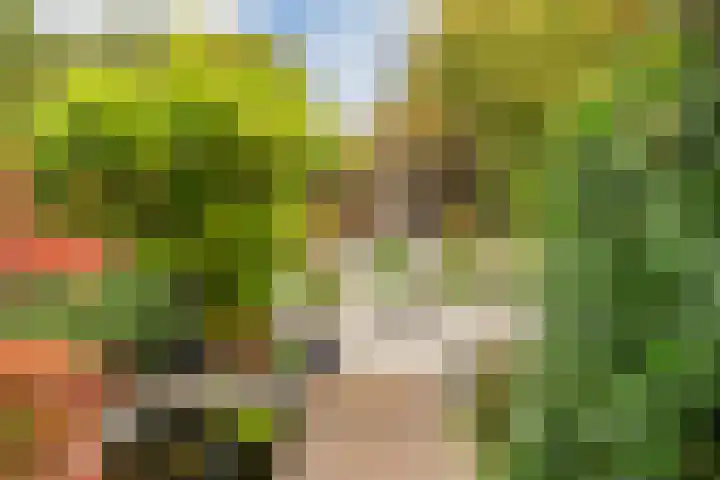 Zandweg 158 De Meern thumbnail 25