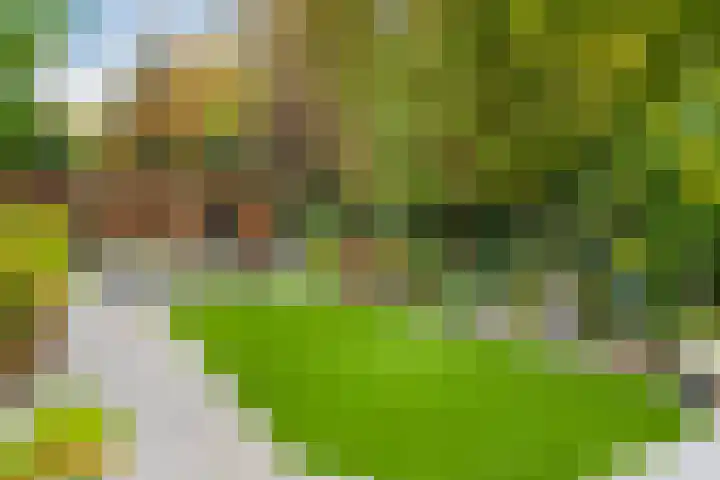 Zandweg 158 De Meern thumbnail 26