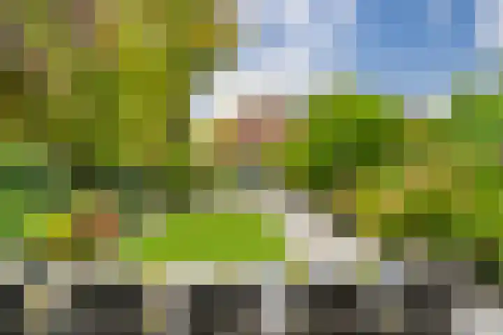 Zandweg 158 De Meern thumbnail 28