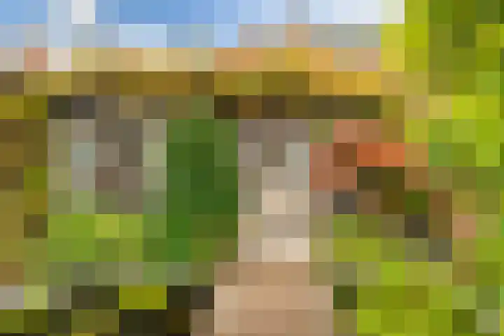 Zandweg 158 De Meern thumbnail 29