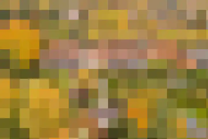 Zandweg 158 De Meern thumbnail 31