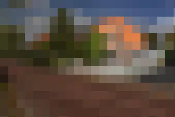 Zandweg 158 De Meern thumbnail 33