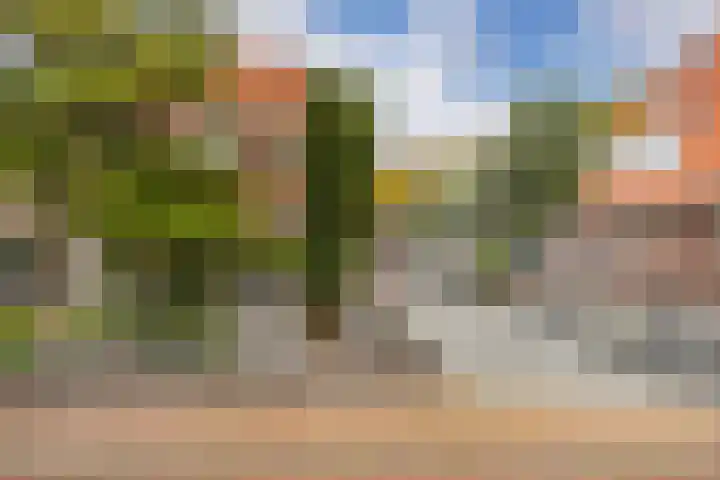Zandweg 158 De Meern thumbnail 4