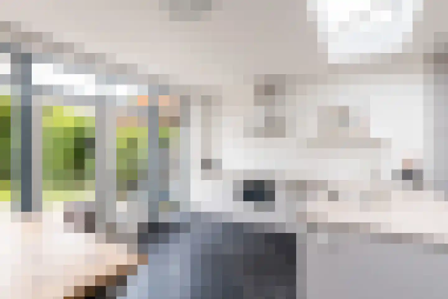 Zandweg 164 De Meern thumbnail 15