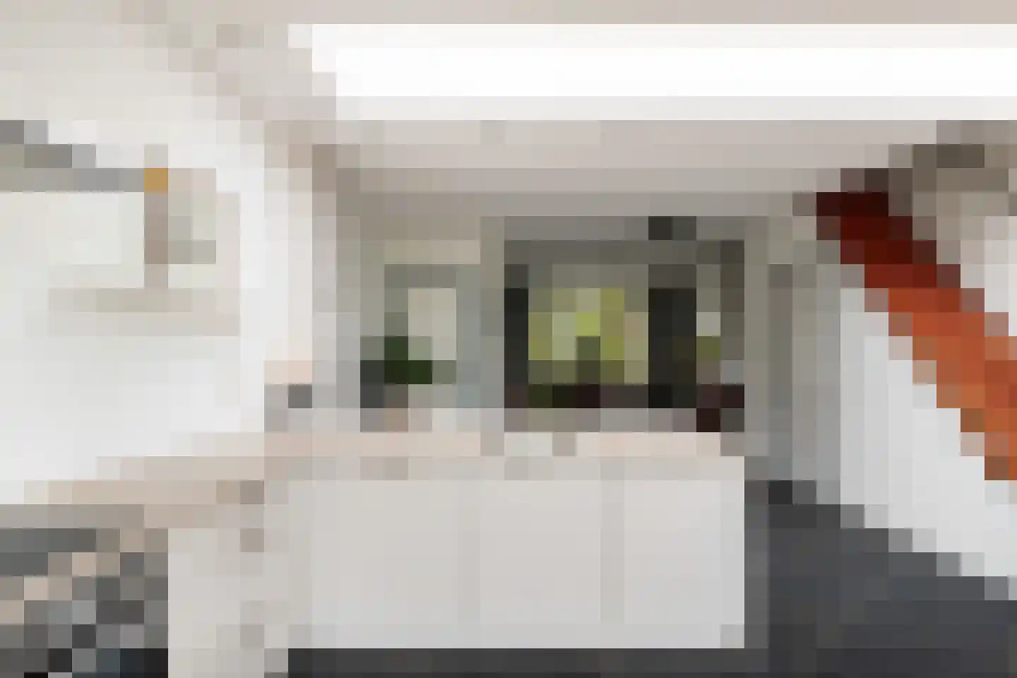 Zandweg 164 De Meern thumbnail 20