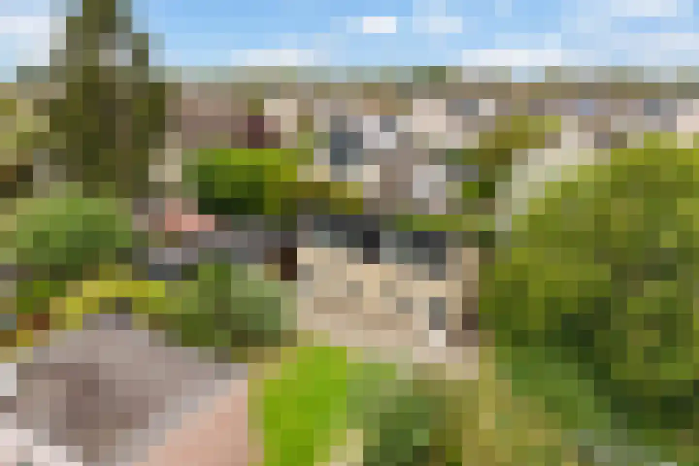 Zandweg 164 De Meern thumbnail 4