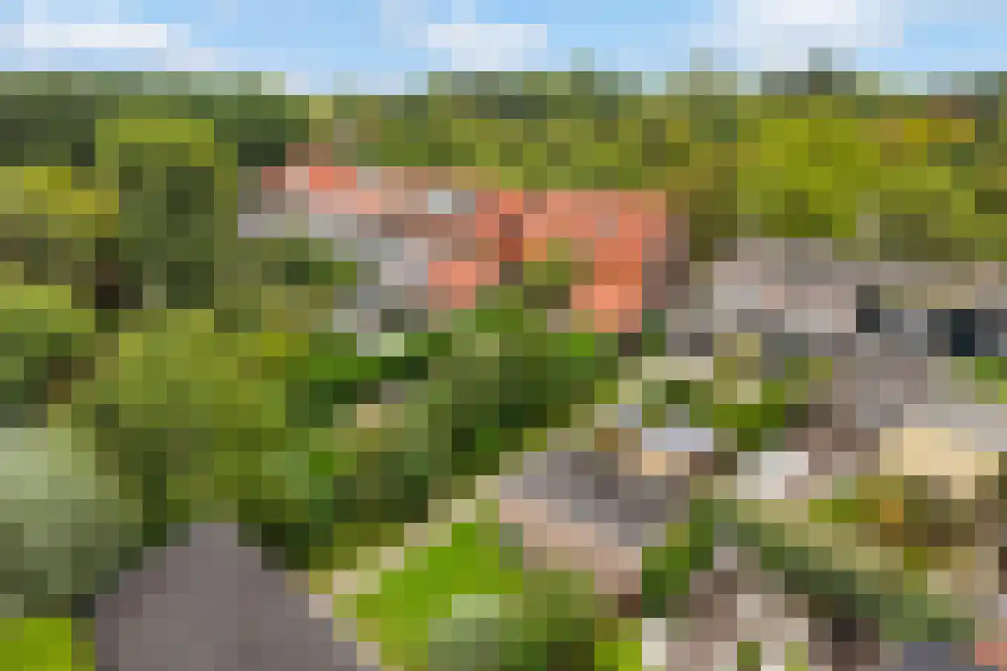Zandweg 164 De Meern thumbnail 58