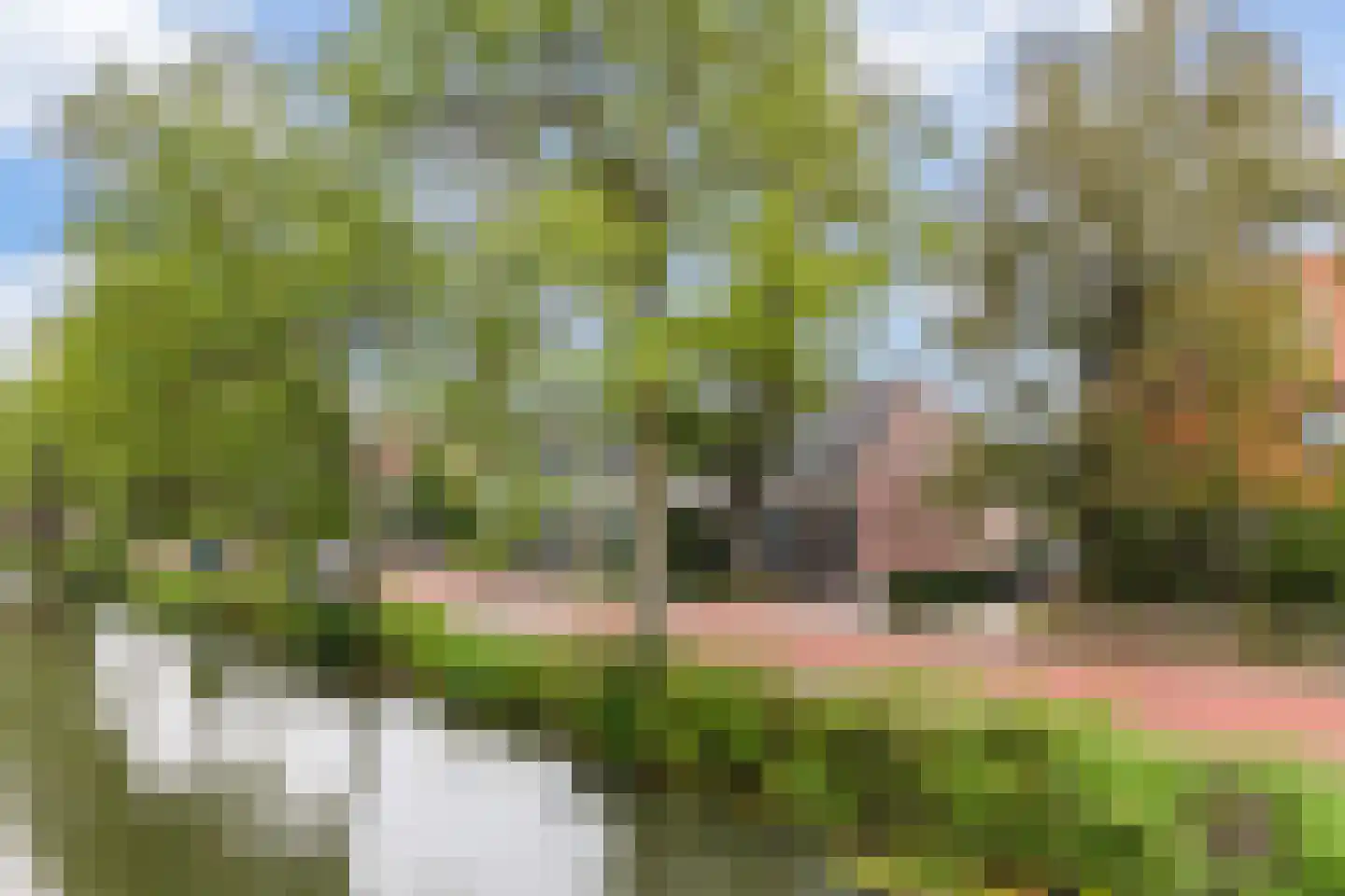 Zandweg 164 De Meern thumbnail 61
