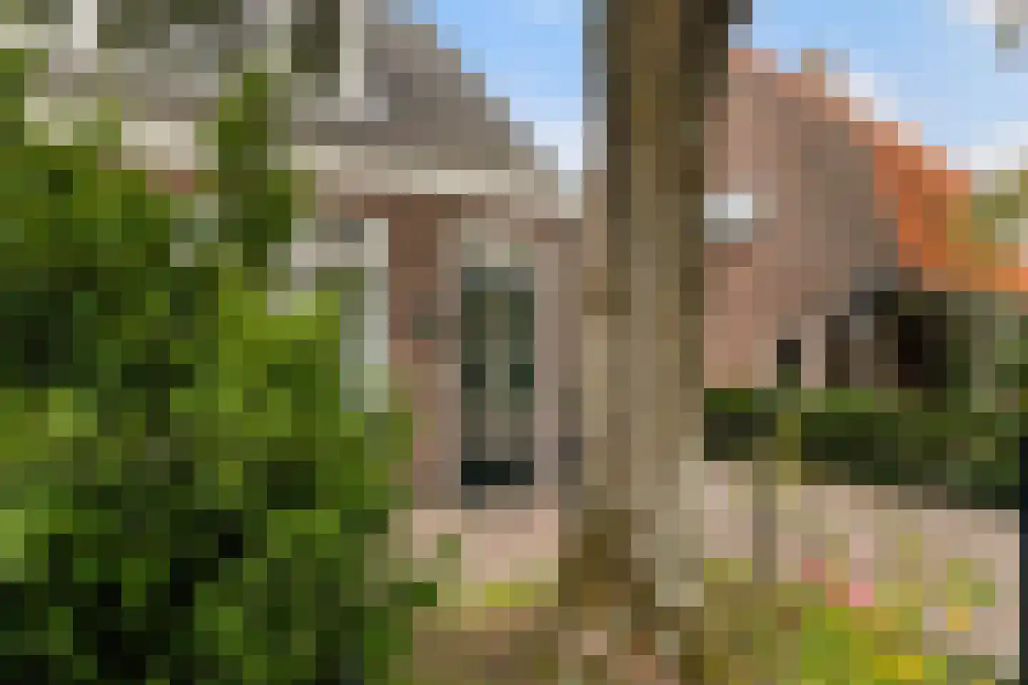 Zandweg 164 De Meern thumbnail 64