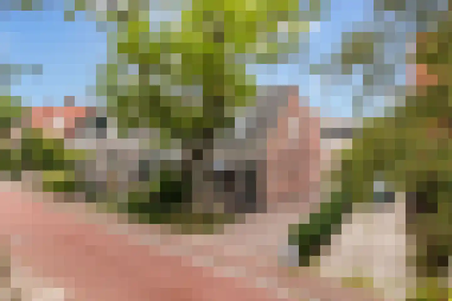 Zandweg 164 De Meern thumbnail 67