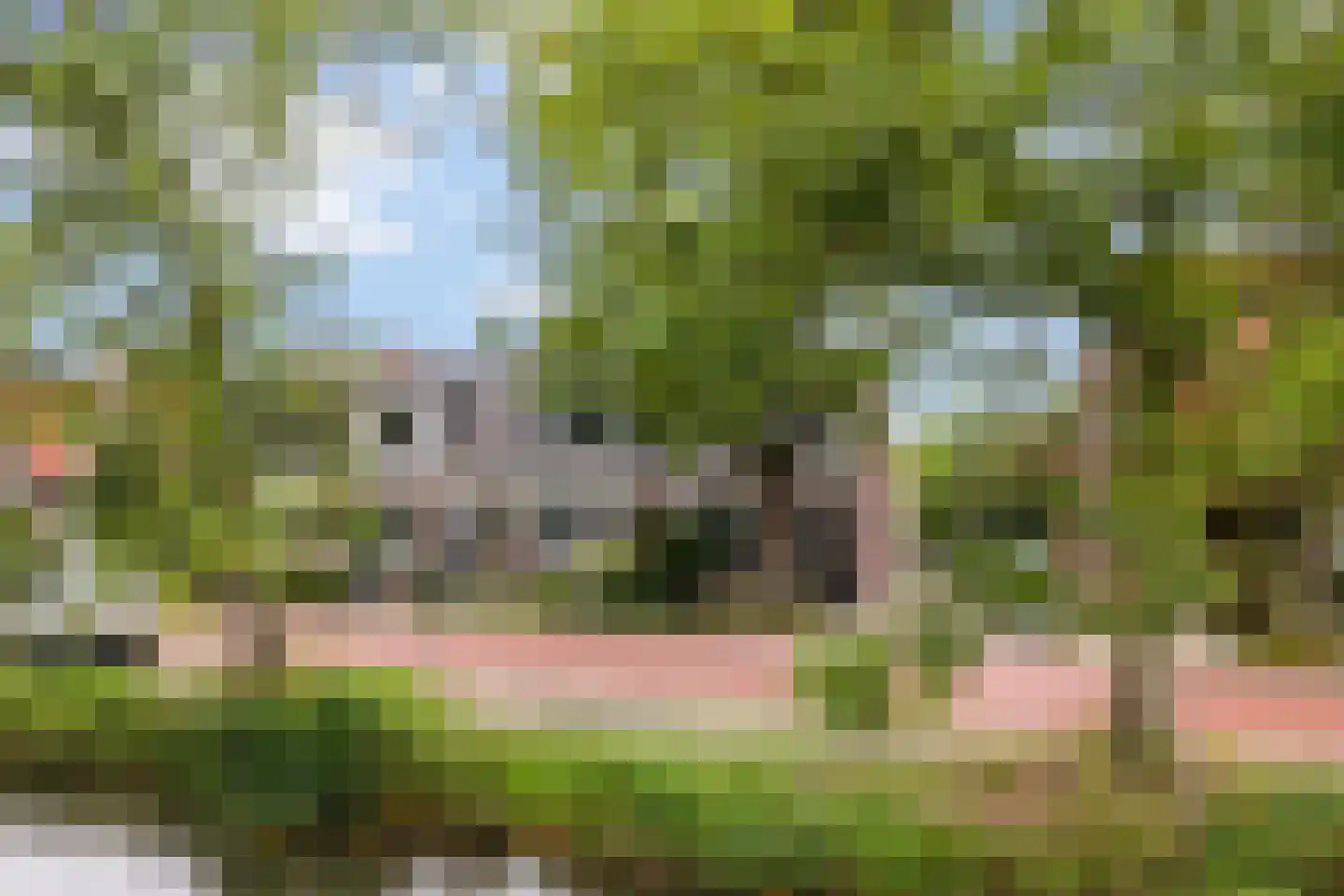 Zandweg 164 De Meern thumbnail 68