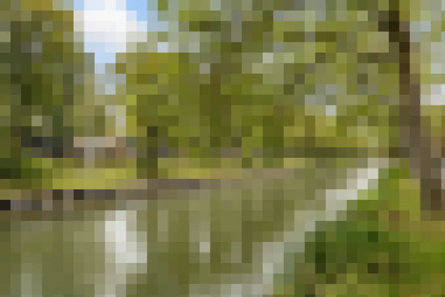 Zandweg 164 De Meern thumbnail 69