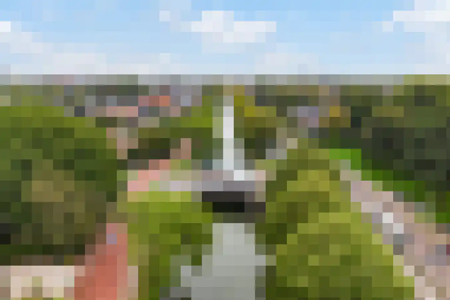 Zandweg 164 De Meern thumbnail 71