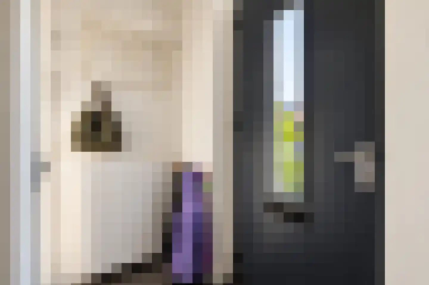 Zandweg 17 a Wijk bij Duurstede thumbnail 11