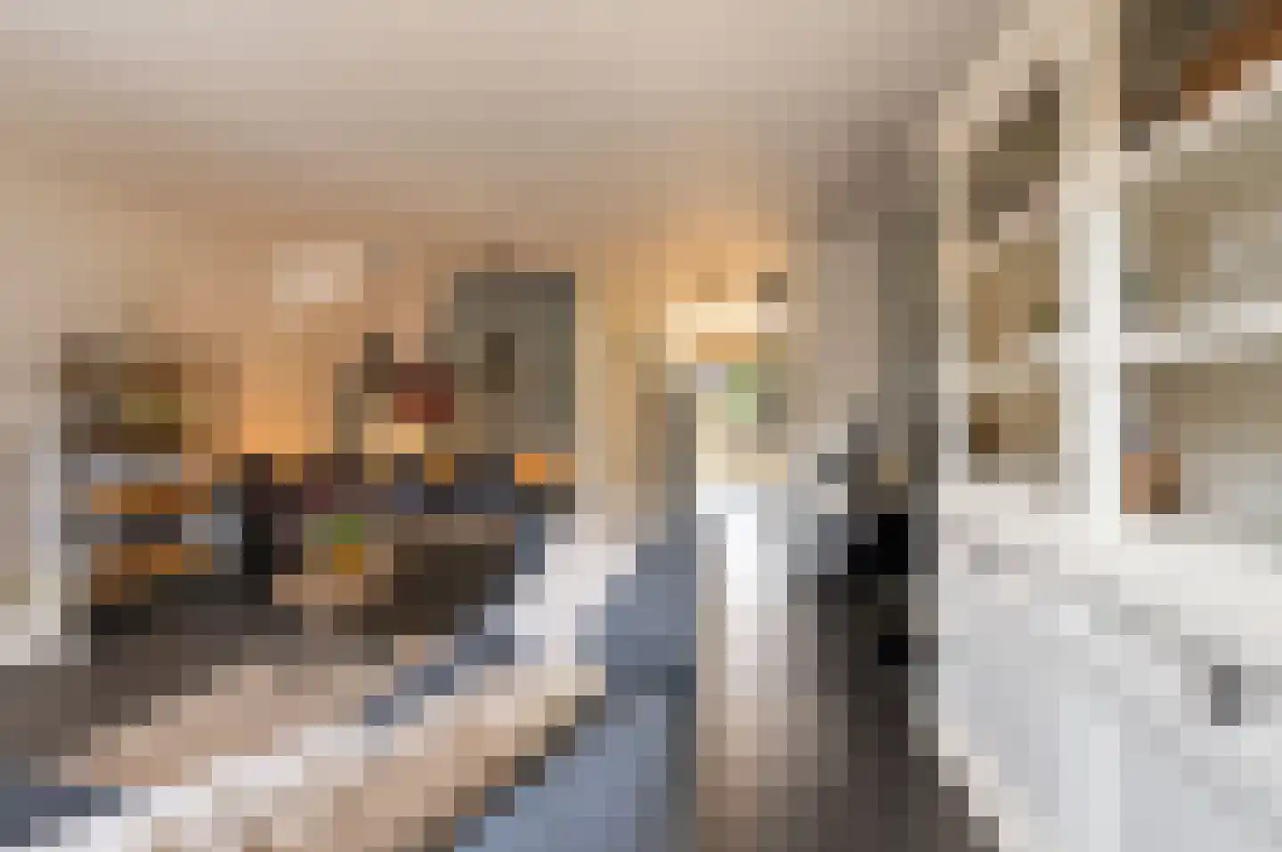 Zandweg 17 a Wijk bij Duurstede thumbnail 21
