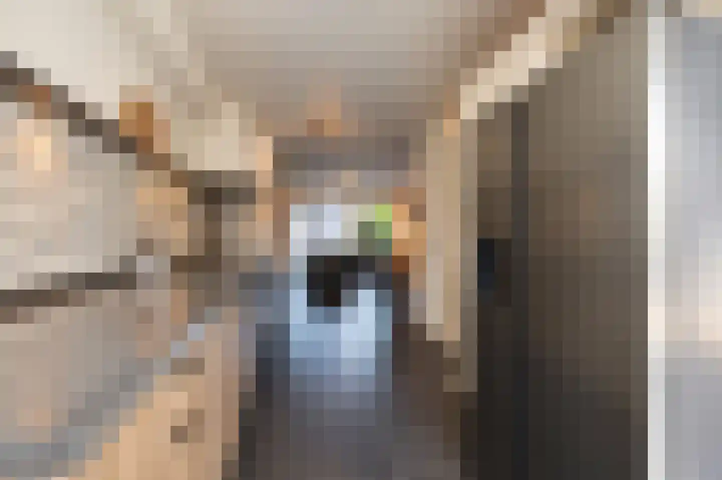 Zandweg 17 a Wijk bij Duurstede thumbnail 27