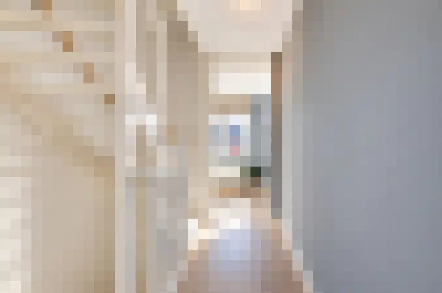 Zandweg 17 a Wijk bij Duurstede thumbnail 34
