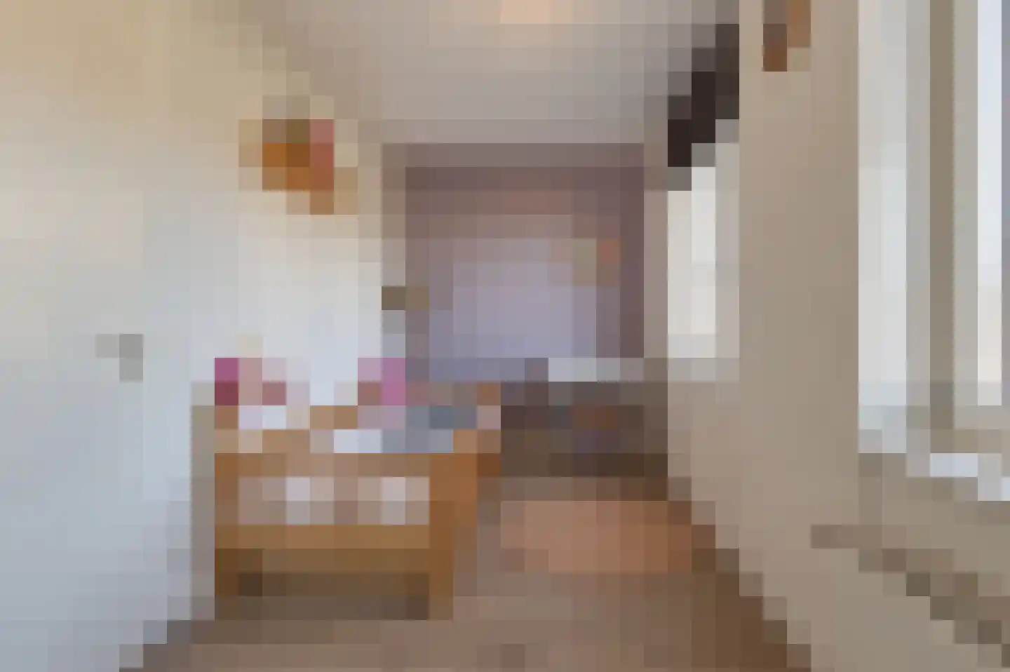 Zandweg 17 a Wijk bij Duurstede thumbnail 55