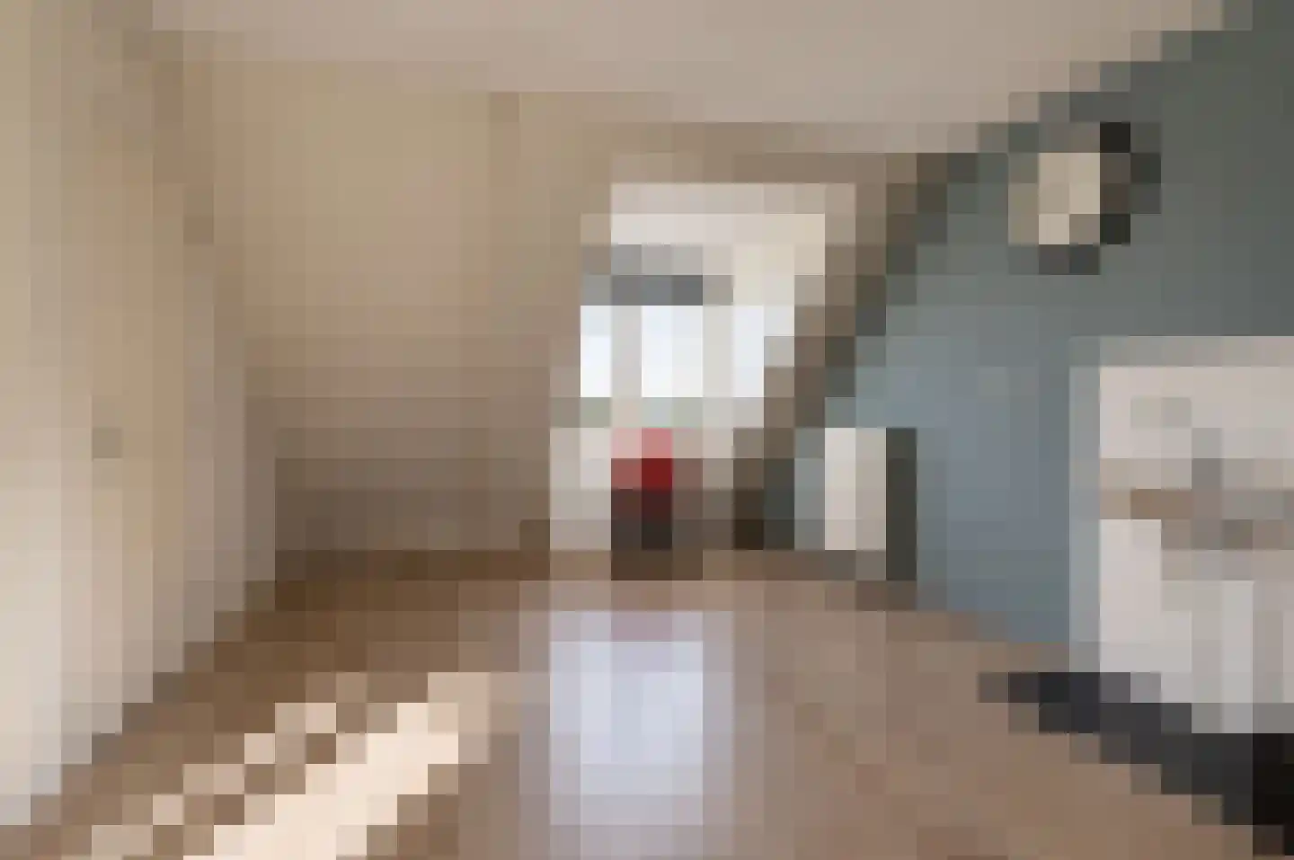 Zandweg 17 a Wijk bij Duurstede thumbnail 60