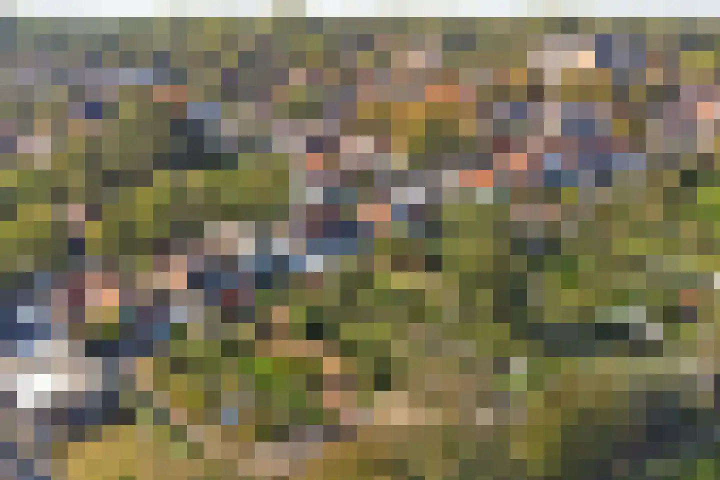 Zandweg 17 Burgh-Haamstede thumbnail 44