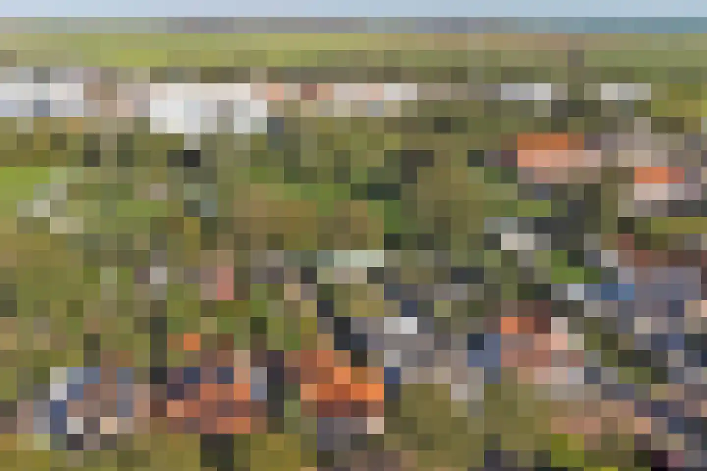 Zandweg 17 Burgh-Haamstede thumbnail 45