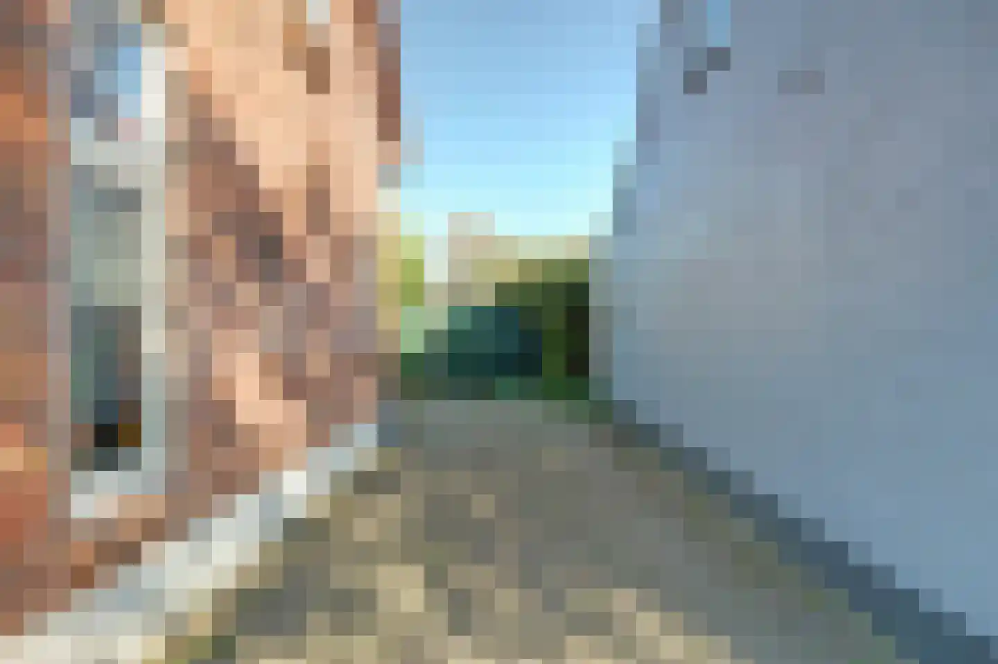 Zandweg 17 Burgh-Haamstede thumbnail 6