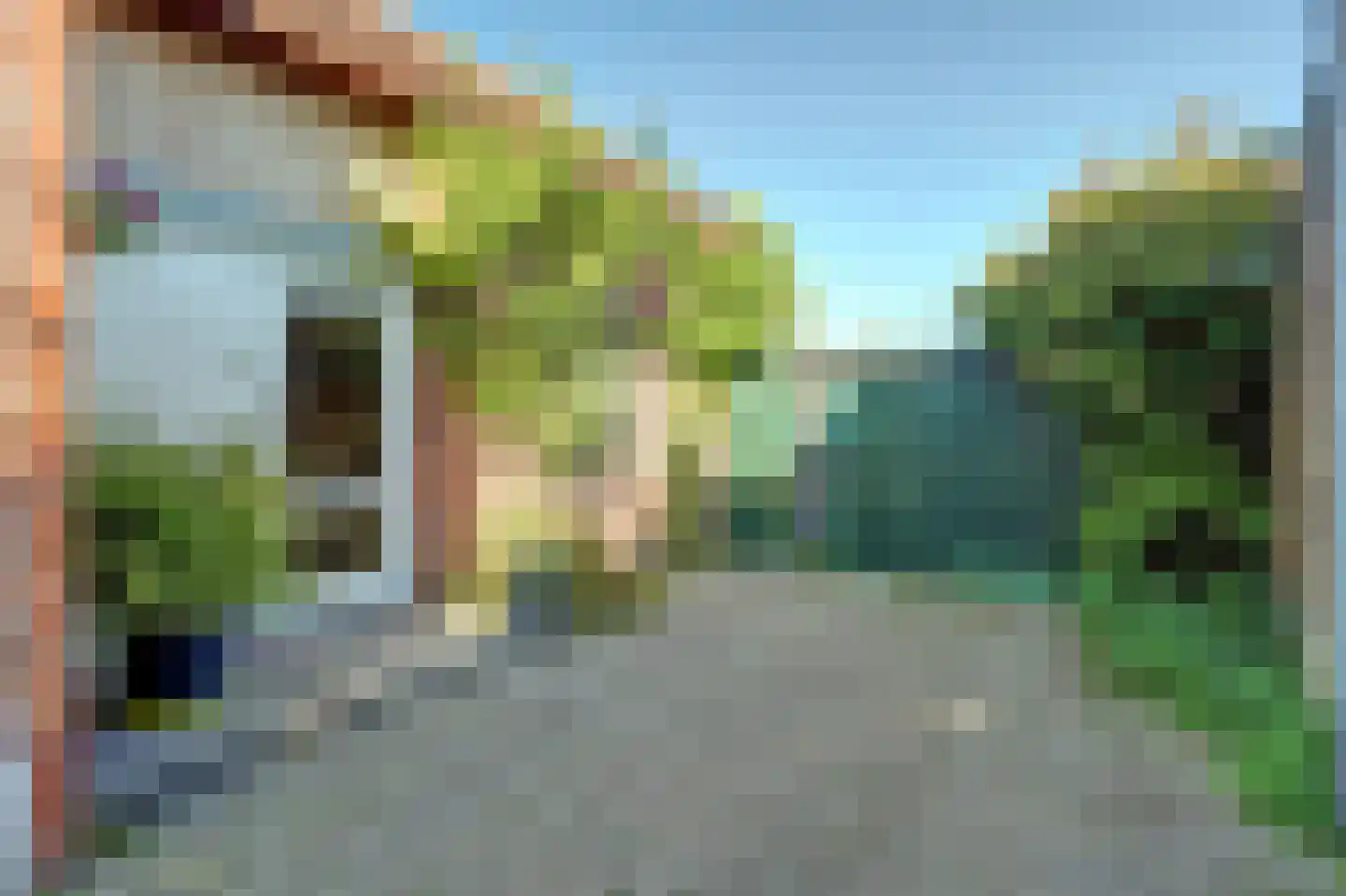 Zandweg 17 Burgh-Haamstede thumbnail 7