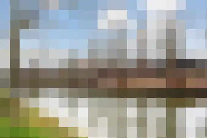 Zandweg 172 De Meern thumbnail 31